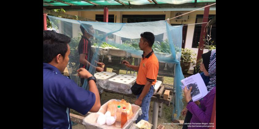 Tanaman Hidroponik  Laman Web Rasmi Jabatan Pertanian 