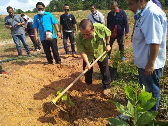 Segamat Menjadi Lokasi Ke-2 Program Lawatan Pengarah Pertanian Negeri Johor