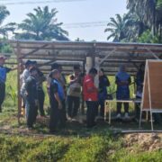 𝐏𝐞𝐦𝐚𝐬𝐚𝐧𝐠𝐚𝐧 𝐒𝐢𝐬𝐭𝐞𝐦 𝐒𝐨𝐥𝐚𝐫 𝐮𝐧𝐭𝐮𝐤 𝐏𝐚𝐦 𝐃𝐢𝐫𝐞𝐜𝐭 𝐂𝐮𝐫𝐫𝐞𝐧𝐭