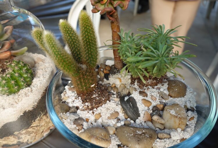 KURSUS USAHAWAN TANI TAHUN 2026