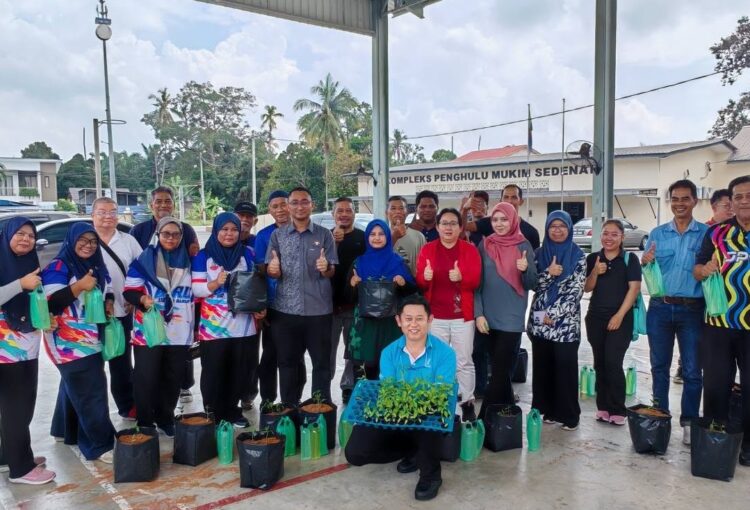 KURSUS TANAMAN FERTIGASI CILI ANJURAN PEJABAT PERTANIAN DAERAH KULAI