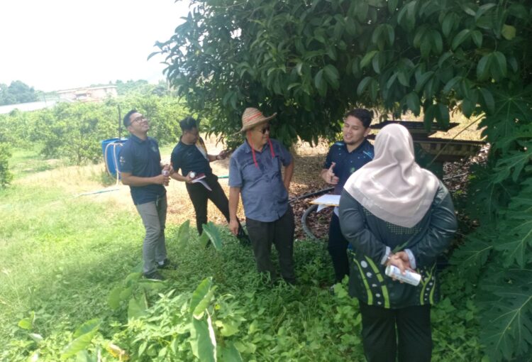 LAWATAN PEMERIKSAAN TAPAK PERMOHONAN PENSIJILAN MYGAP TAHUN 2026, BUKIT BANANG