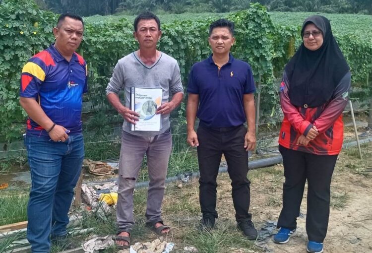 Lawatan Audit Luar Pensijilan Baharu myGAP Tahun 2026 di Kangkar Senangar