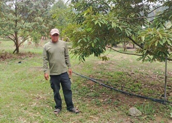 Lawatan Pengembangan APT Mukim Kota Tinggi & USSB Perkukuh Pemantauan Tanaman dan Bimbingan Petani.