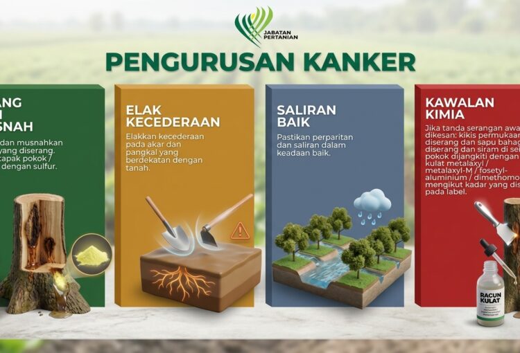 Panduan Pengurusan Kanker Pokok: Langkah Pencegahan dan Kawalan Efektif