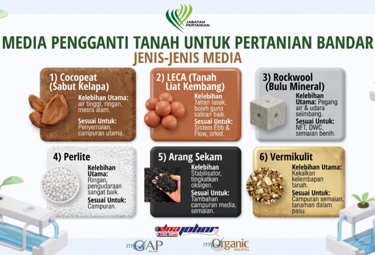 PERTANIAN BANDAR LEBIH PRAKTIKAL DENGAN PEMILIHAN MEDIA TANAMAN YANG SESUAI