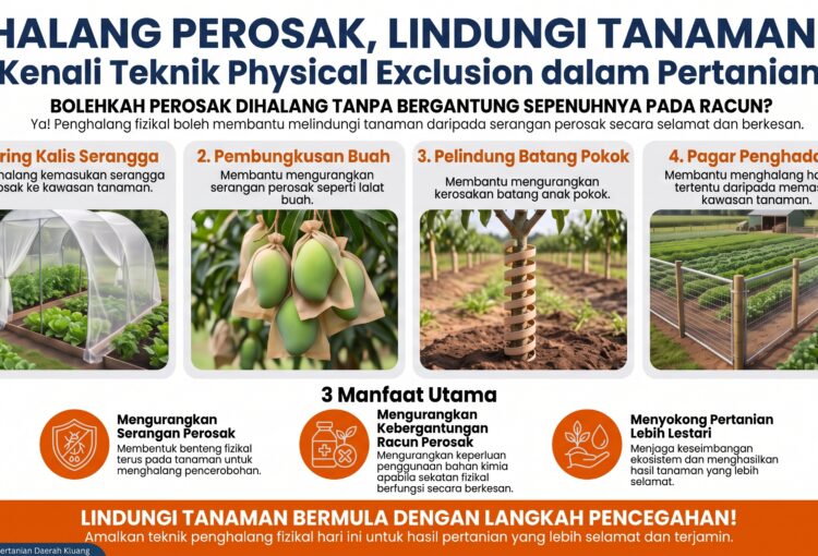 CEGAH SEBELUM DISERANG: TEKNIK PERLINDUNGAN FIZIKAL TANAMAN KURANGKAN RISIKO PEROSAK
